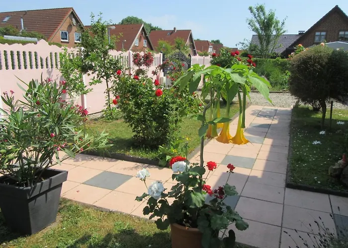 Sommertraum